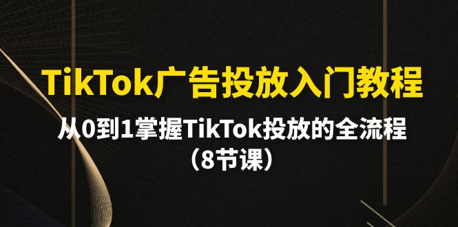 TikTok广告投放实战指南：零基础到精通全流程-妙笔生财 | 妙笔阿牛